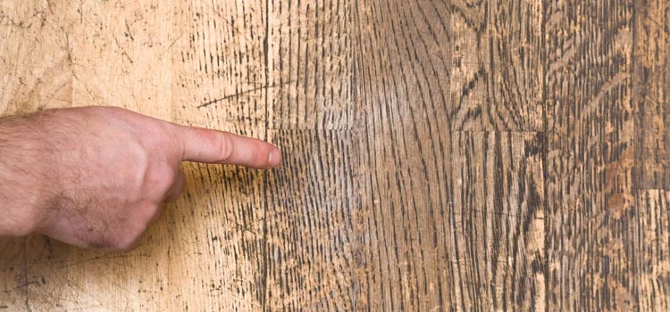 Wood Door Scratch Repair in Marysville